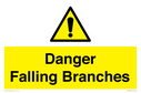 danger-falling-branches~